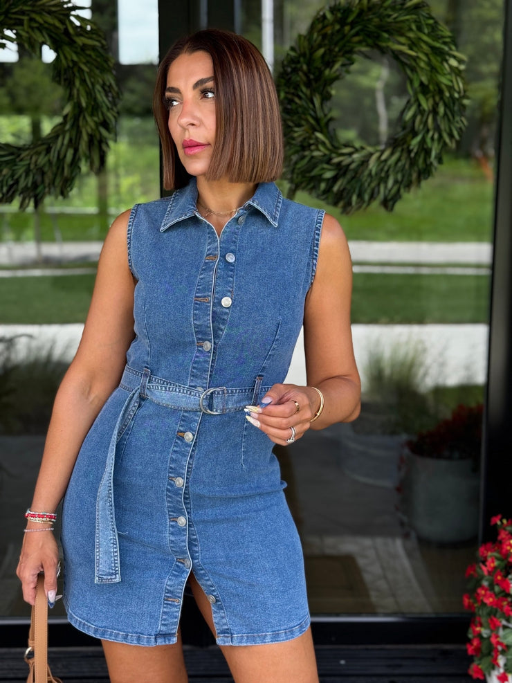 Audrey Dress - theClothesRak