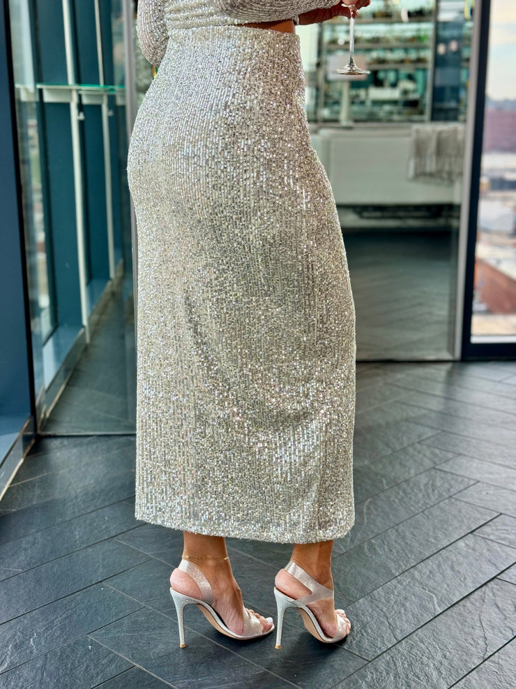 Saturn Sequin Skirt by Z Supply - theClothesRak